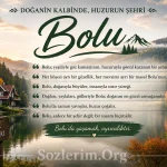Bolu ile ilgili Sözler 2026