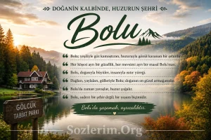 Bolu ile ilgili Sözler 2026
