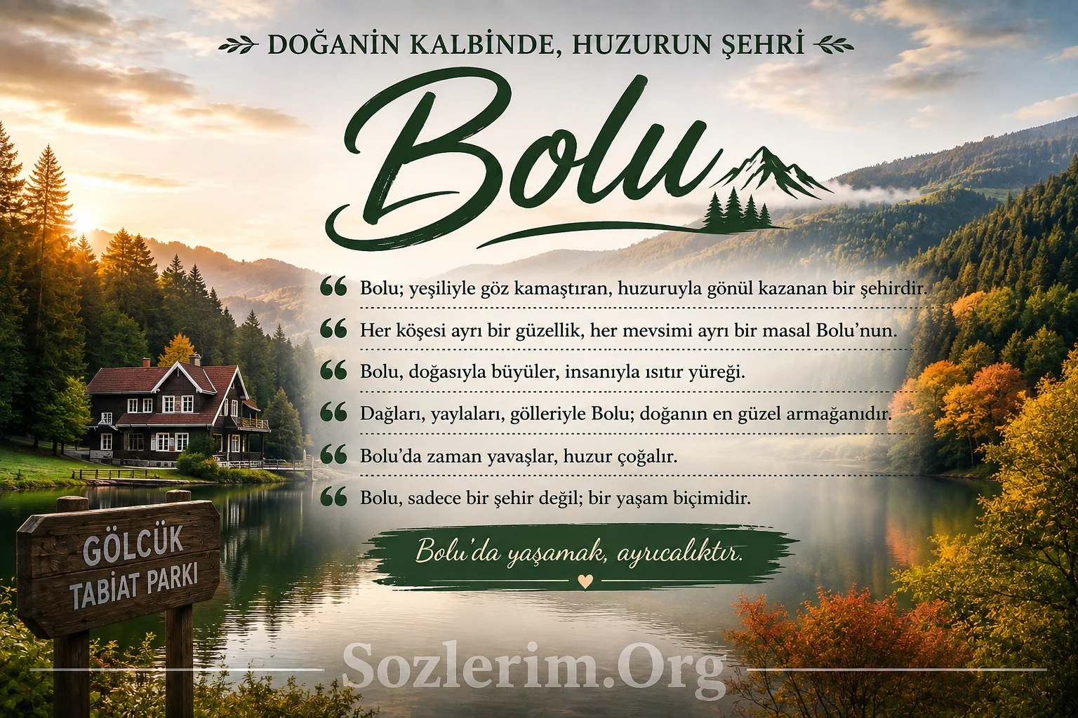 Bolu ile ilgili Sözler 2026