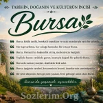 Bursa ile ilgili Sözler 2026